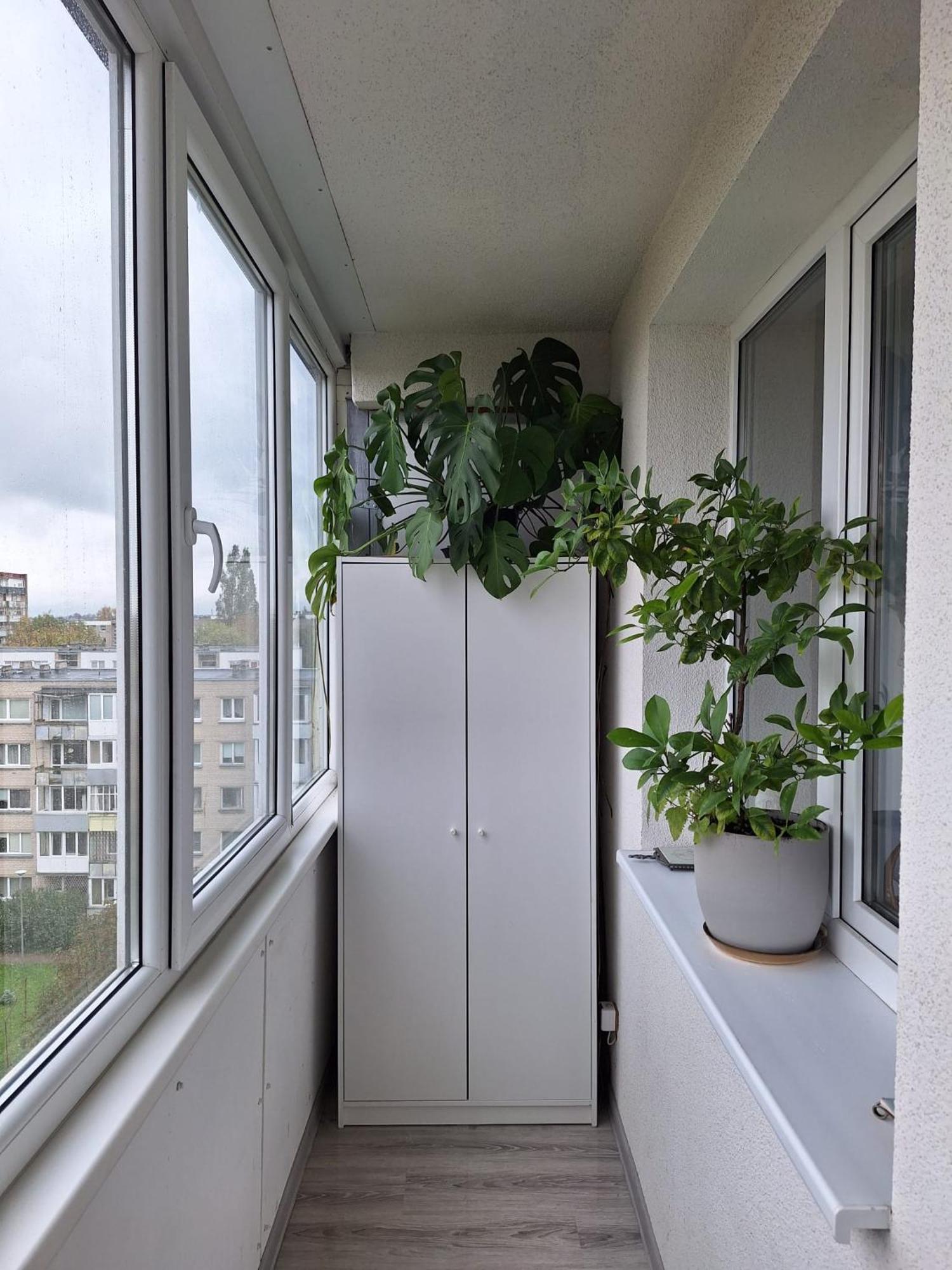 Debreceno-Park Apartments Klaipeda Ngoại thất bức ảnh